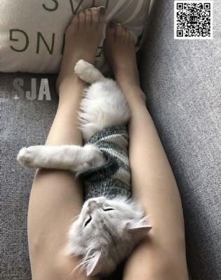 婷婷成人基地_蓝光神马影院手机在线